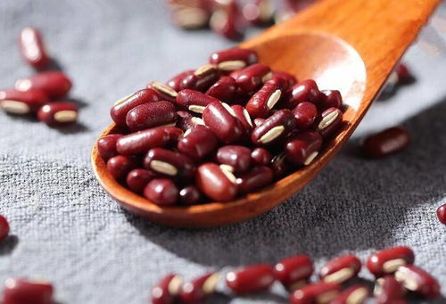 “花界红宝石：赤豆与红豆大揭秘！”