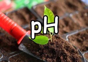 酸性土壤的特征有哪些？