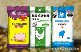 南昌铁骑力士饲料厂在全国排名中表现如何？