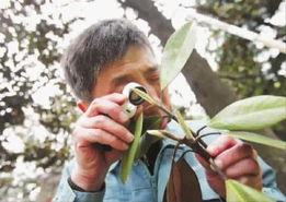 施肥的目的和原则