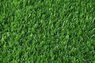 不同草坪，不同高度