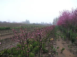 市场研究：明智的决策