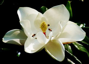 第五章：发货时间定乾坤