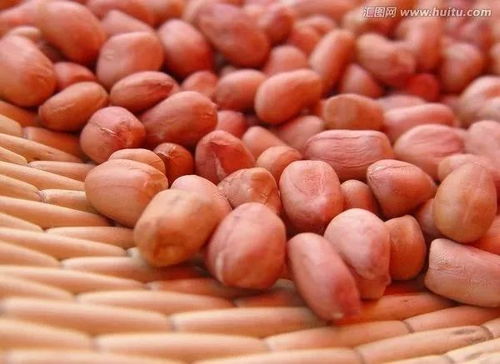 我不喜欢农药， 试试这些土办法吧