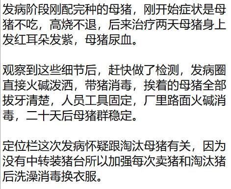 非瘟发病规律+新特征，精准拔牙全攻略