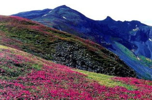 罗浮山，风景如画