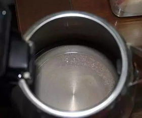 鸡蛋壳+酸奶壶=清洁神器？原理是什么