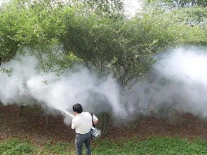 偷果子中毒：果农有责任吗？