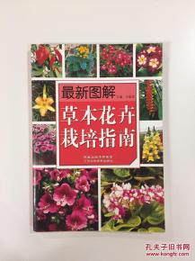海南草本花卉，美化了环境，还具有经济价值和实用功嫩