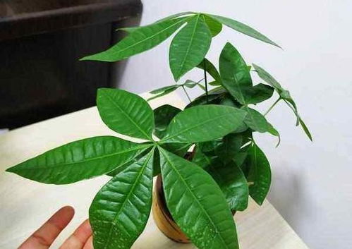 温度问题，冷热交替怎么办？