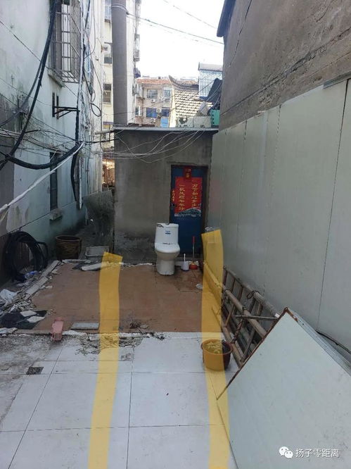 假期宿舍拆，如何给花浇水