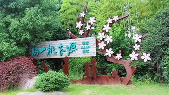 阳山县的实践：