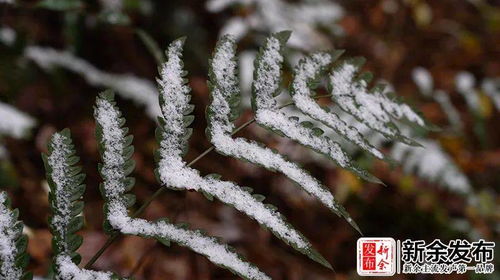城市高架桥下的绿色点缀