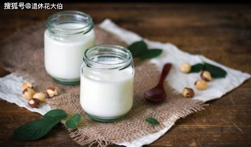 酸奶浇花秘籍，酸奶水养花指南