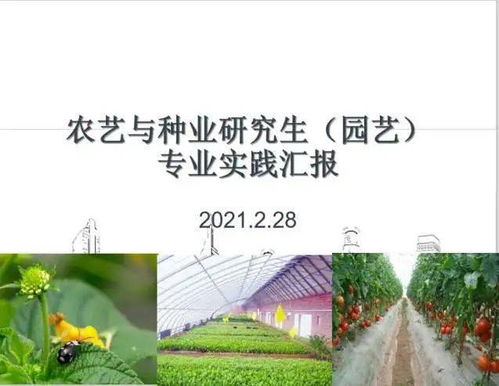 园林研究生学校的专业方向探秘