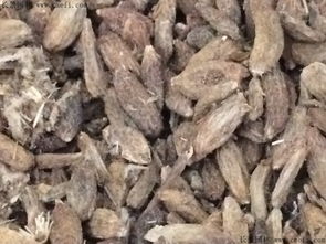 白术种子价格大揭秘，如何避免被不良商家坑？