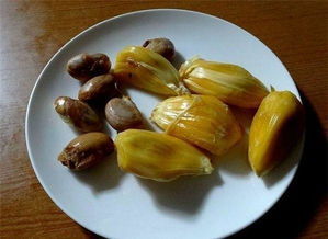 菠萝蜜核能吃吗？煮熟后口感软糯