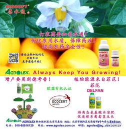 江苏植保站的对比试验