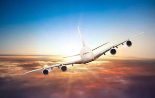 飞机型号揭秘：撒杀虫剂的神秘飞机