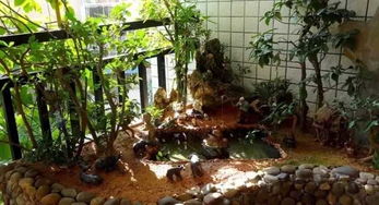 鱼池边种花有什么好处呢？