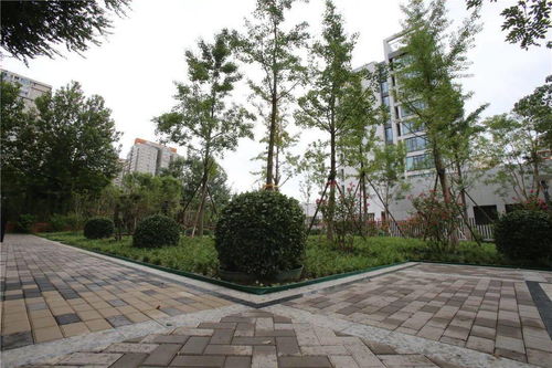 无障碍设计：方便残疾人士使用