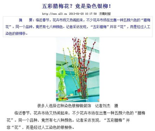 过来人的血泪建议