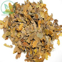 血皮槭的种子成熟状况下 是呈灰褐色的