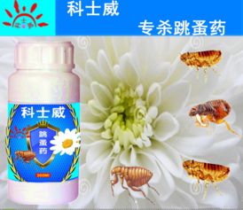 网上说法不一， 还是亲自试试吧