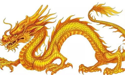 这龙须树对风水有影响吗？