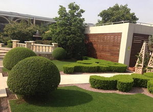 九月适合搞绿化吗？揭秘绿化时机的小秘密