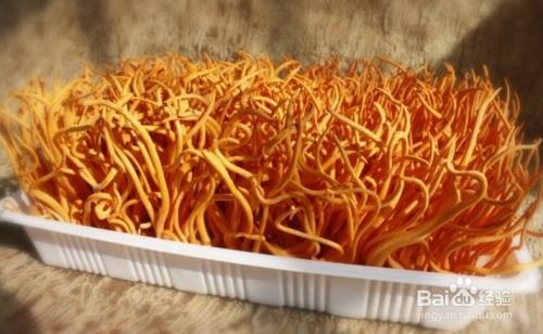 2. 虫草花的食用方法