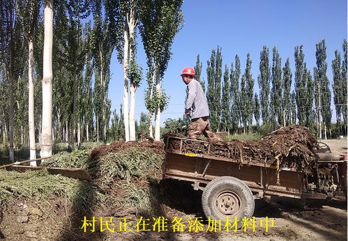 北方地里哪些草会破坏庄稼？