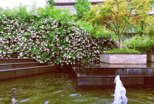 来源：无锡博报生活