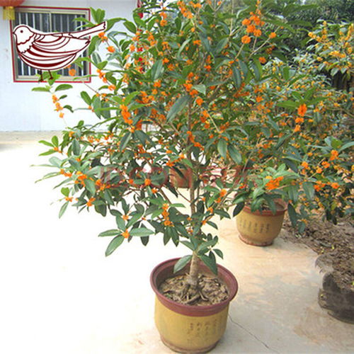 考虑不同需求和环境因素