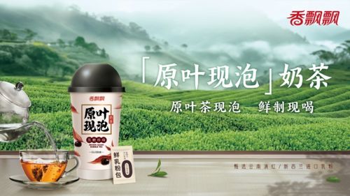 山润茶油：一抹自然之香，唤醒茶韵生活