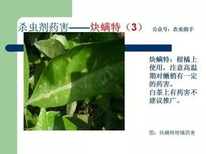 百菌清检测步骤