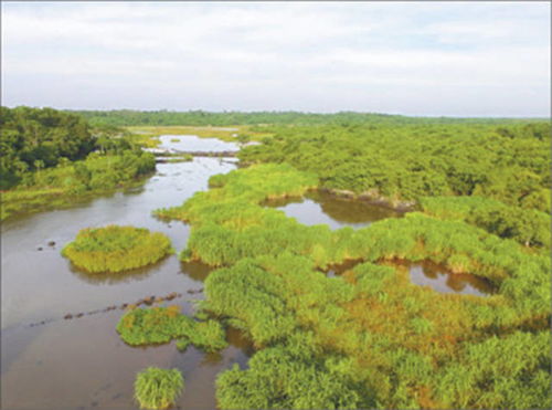 水库边的自然美景