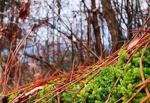 腐熟过程， 注意细节