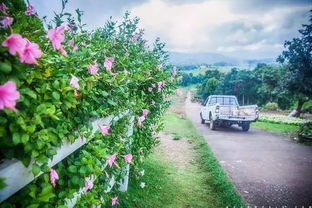 注意事项：避免浪费成本