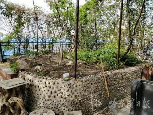 种植花草，土层厚度大揭秘！