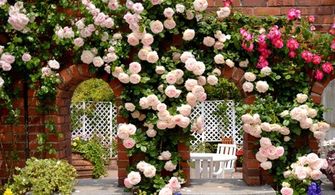 水分需求随生长阶段变化