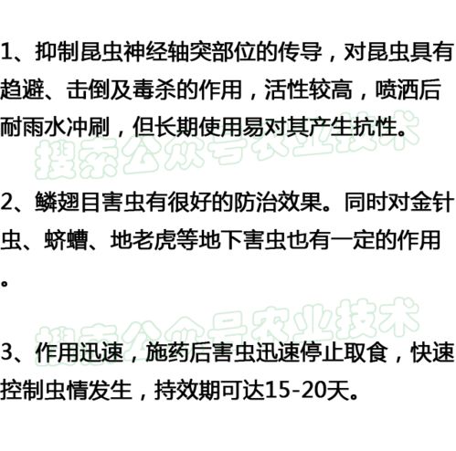 红薯氯氟氰菊酯早上使用，这些步骤要记牢！