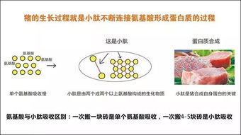 甲维盐科学混配方案如何解决青虫防治难题，能省30%成本吗？