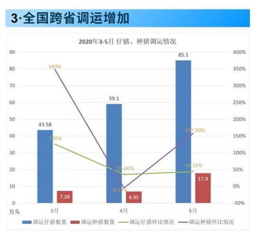 “新购仔猪健康养殖策略”