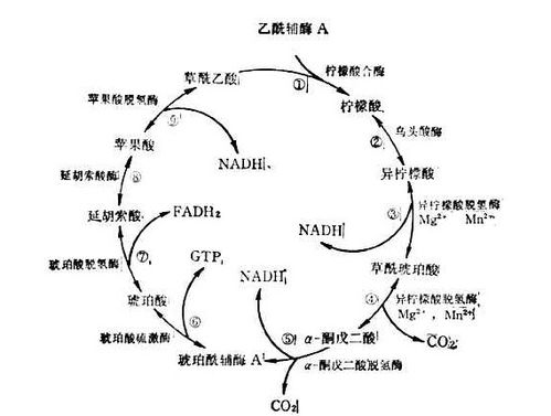 气温高，危害加倍