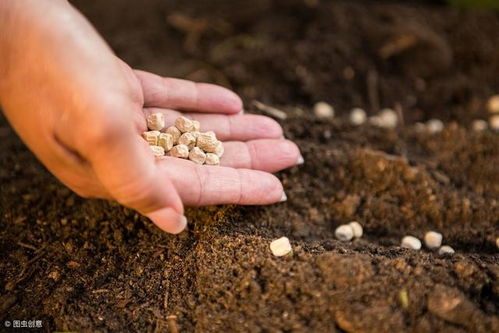 为什么是56度呢？