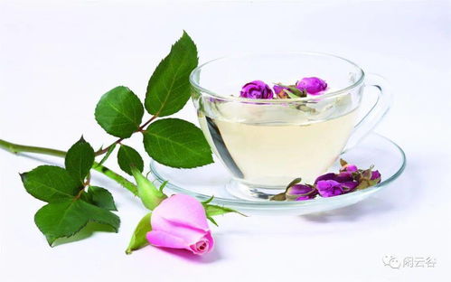 玫瑰花配茶叶可以喝吗？这么搭配小心喝错