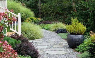 重点提醒：千万别买8元以下的混合草籽！