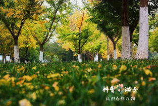 其他春天的宝贝们