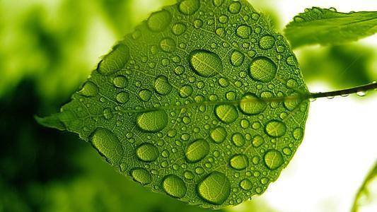 ①温度补偿法则